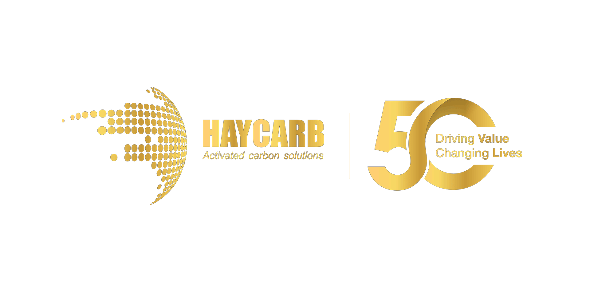 Haycarb-50th-Anniversary-Banner-1